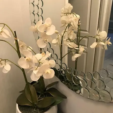 Je Suis A Ницца